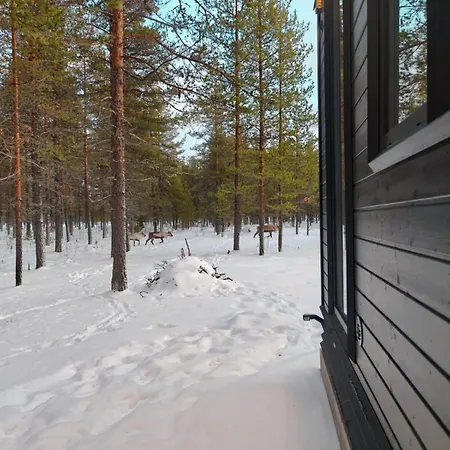 Fell Village 9 With A Mountain View, Fireplace, Sauna, Kitchen Ferienhaus